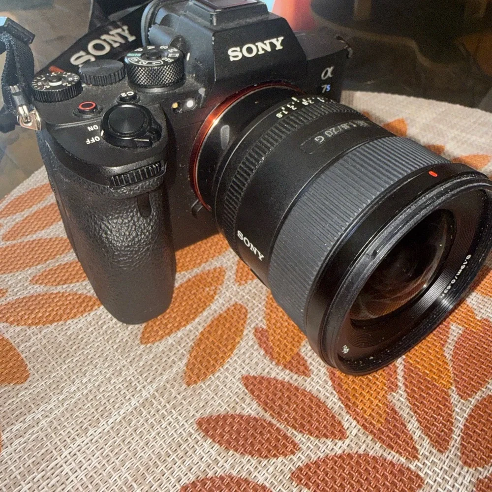Sony Alpha a7S II Mirrorless Camera Body - Black with Silver Mount